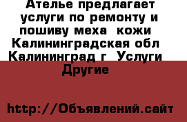 Ателье предлагает услуги по ремонту и пошиву меха, кожи - Калининградская обл., Калининград г. Услуги » Другие   